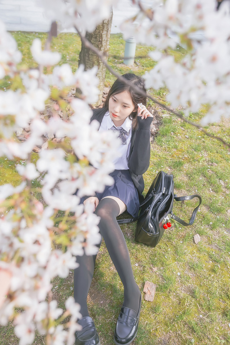 深雪—樱花樱花想见你