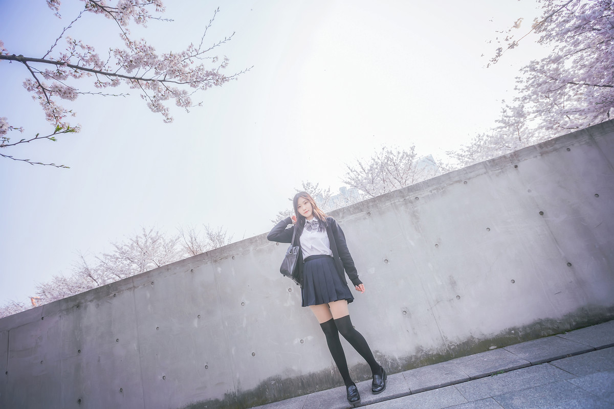 深雪—樱花樱花想见你