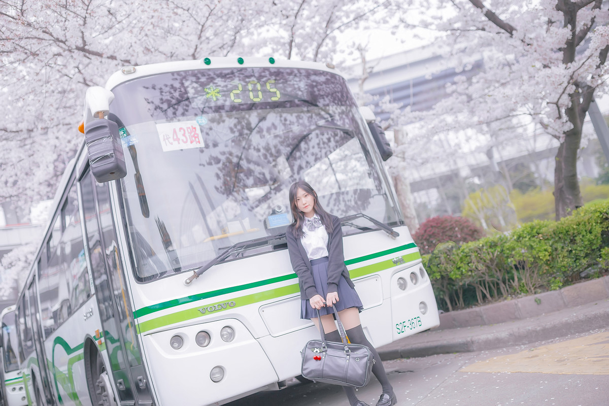 深雪—樱花樱花想见你