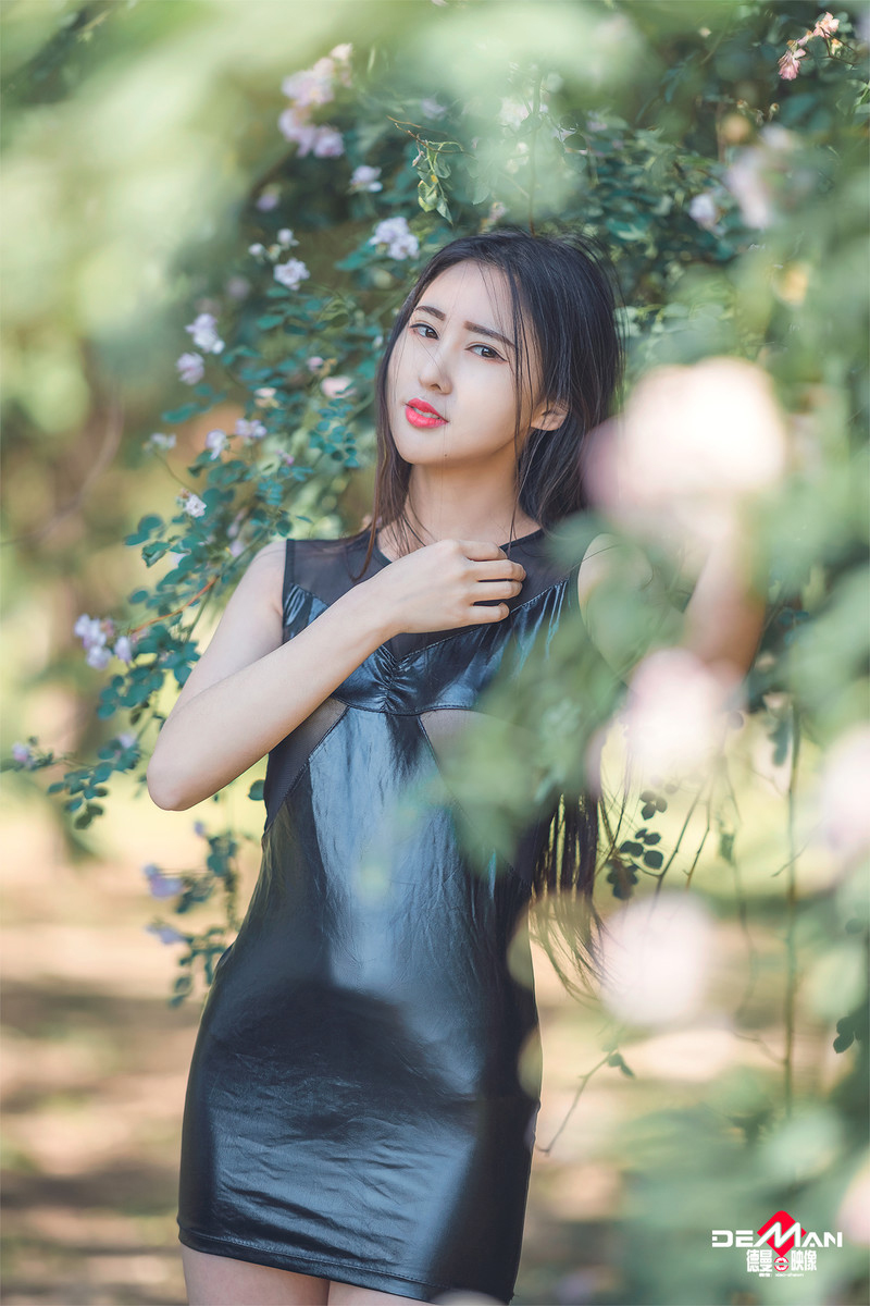 疯狂的兔子—吻别蔷薇