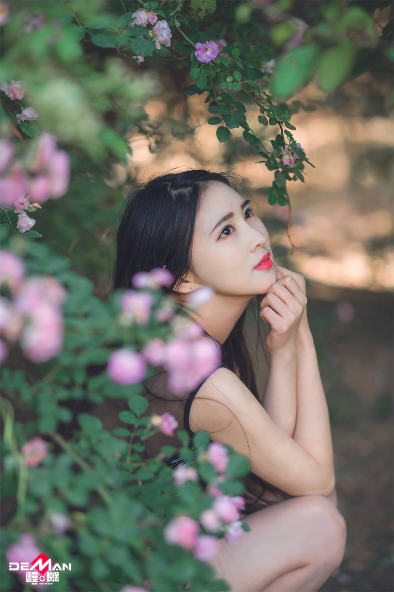 疯狂的兔子—吻别蔷薇