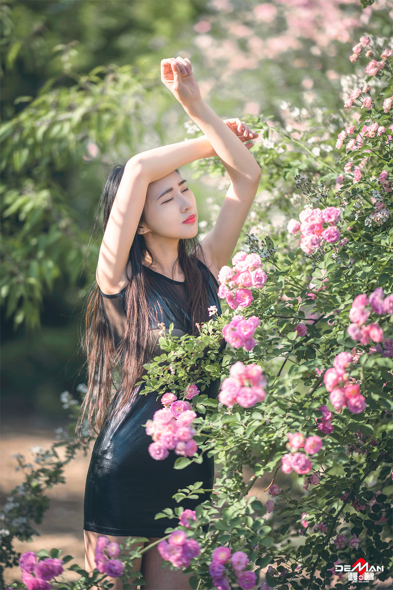 疯狂的兔子—吻别蔷薇