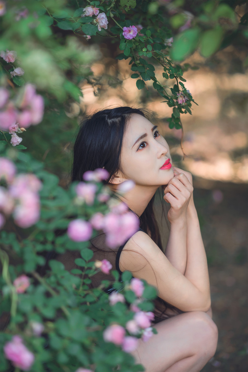 疯狂的兔子—吻别蔷薇