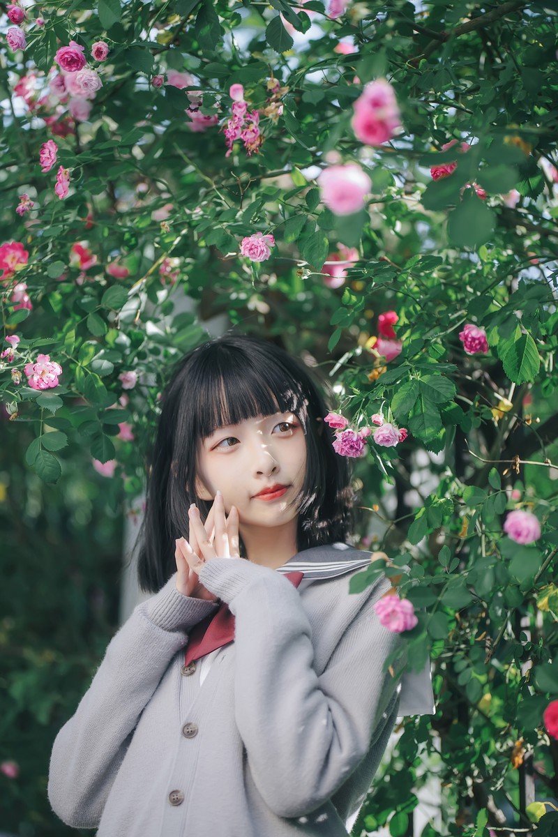 呱呱子—蔷薇