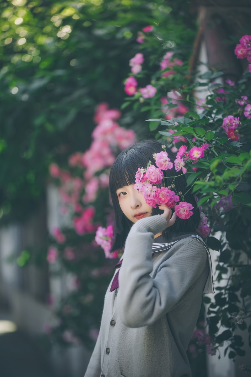 呱呱子—蔷薇