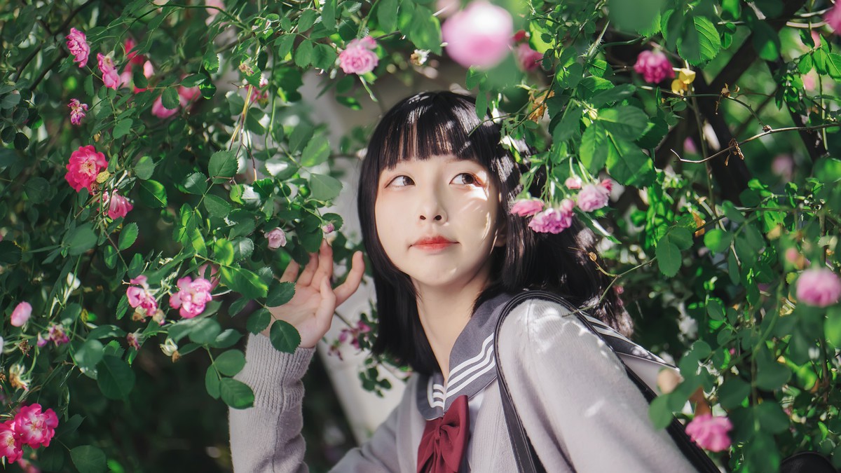 呱呱子—蔷薇