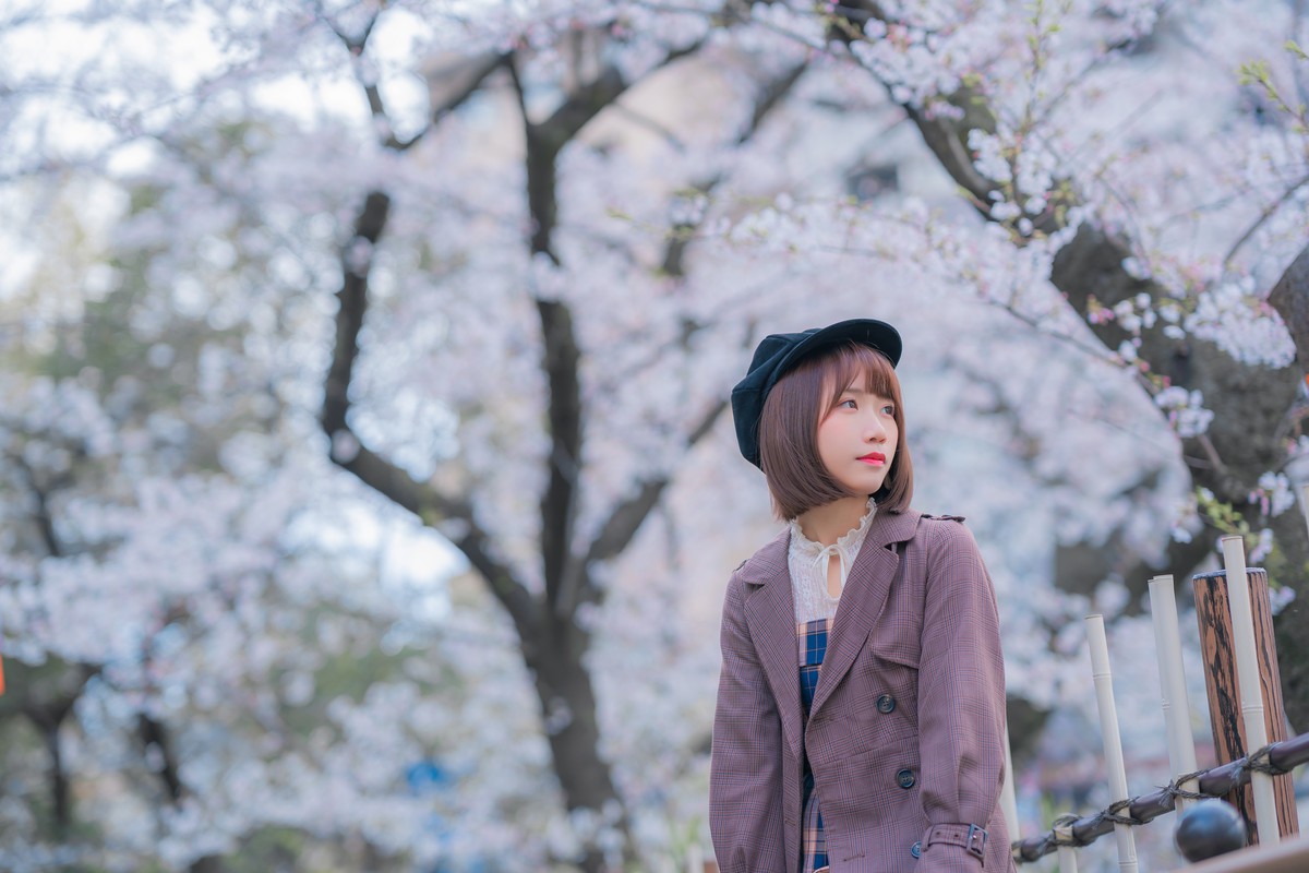 曦子—樱花树下