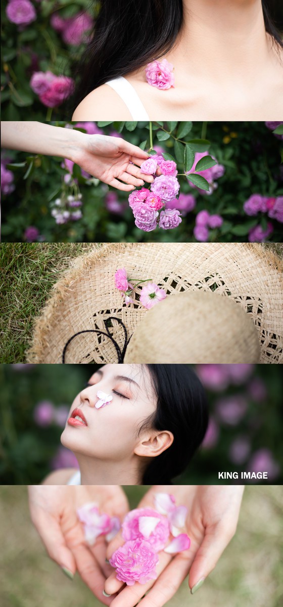 辰辰—蔷薇少女