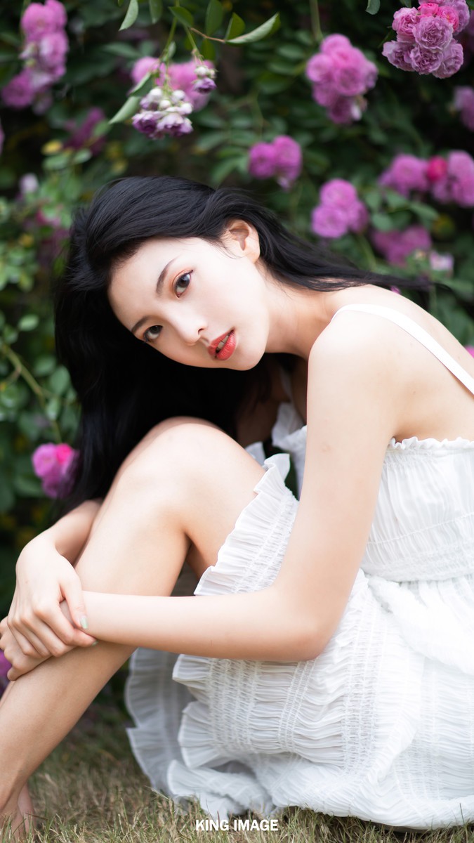 辰辰—蔷薇少女