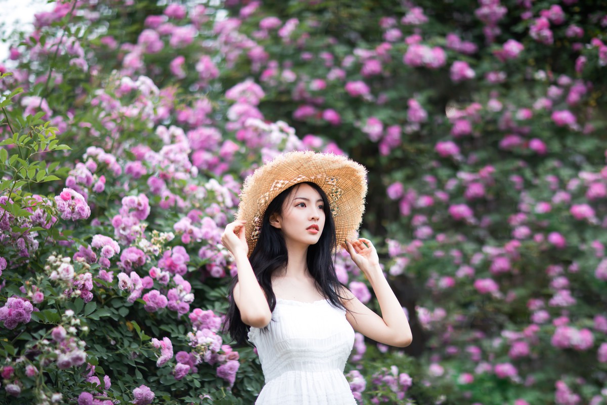 辰辰—蔷薇少女