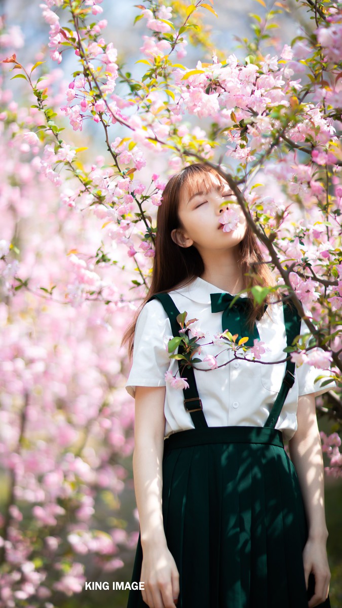梁小萌—樱花