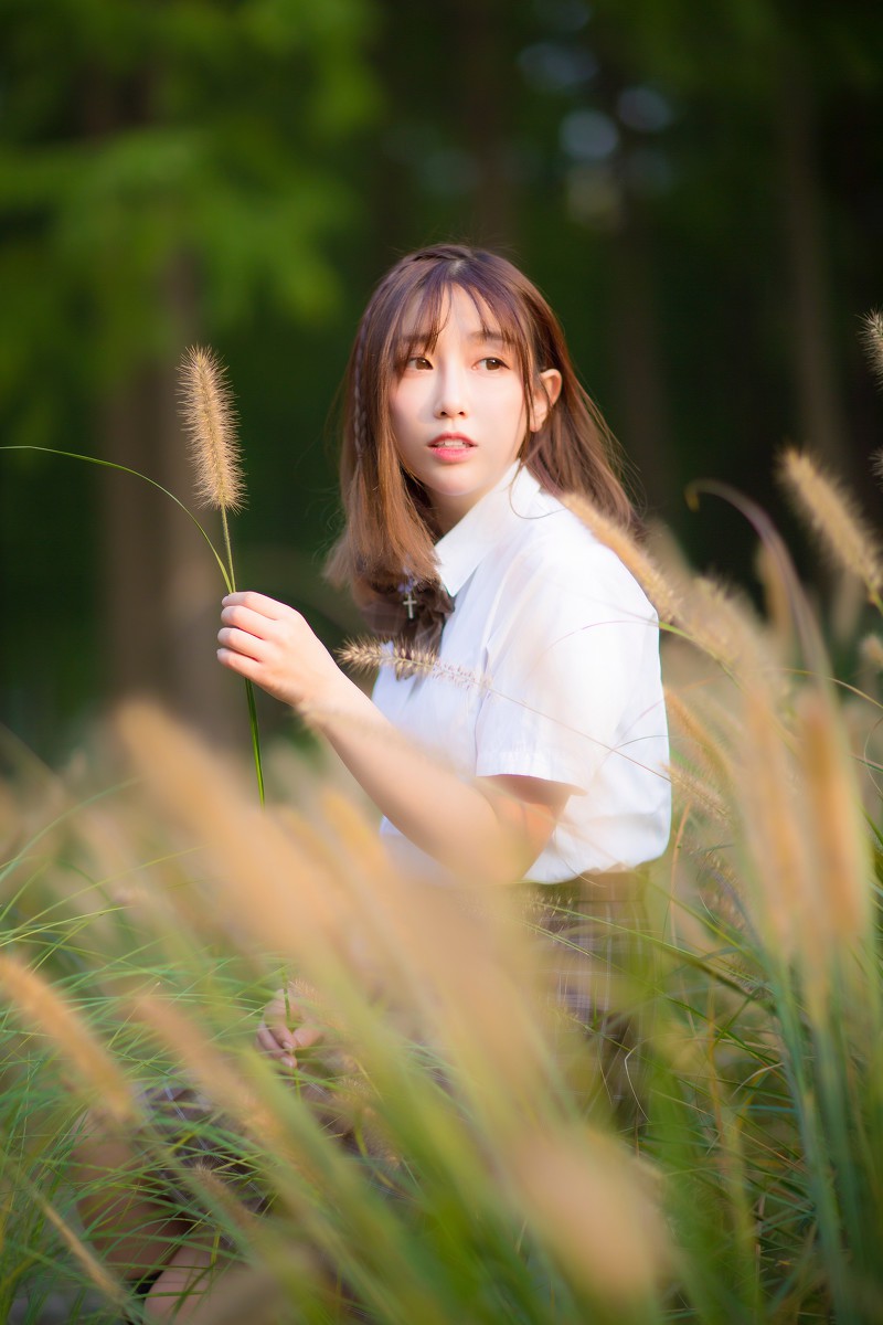 杨掰掰—日落少女