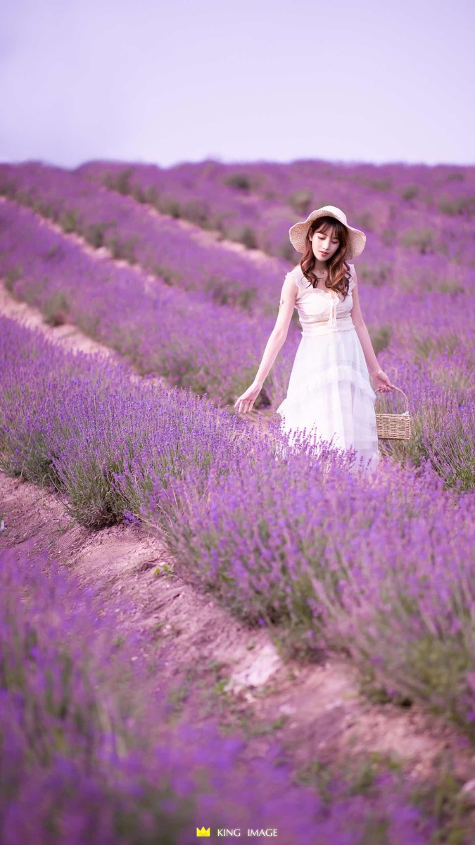 婷婷—薰衣草