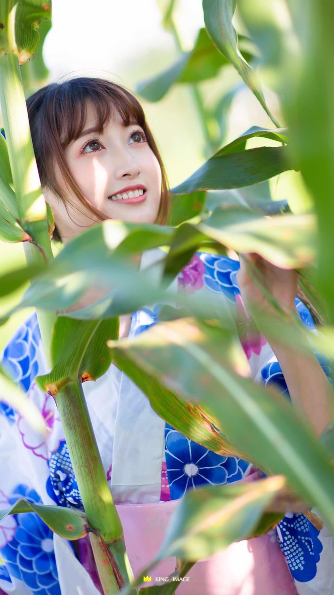 和服稻田少女写真