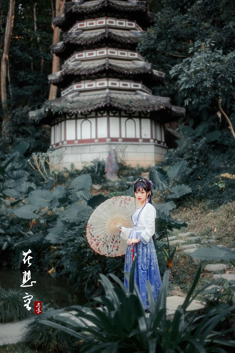 醉清风