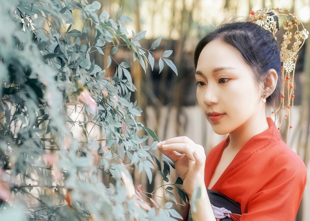青丝芳华