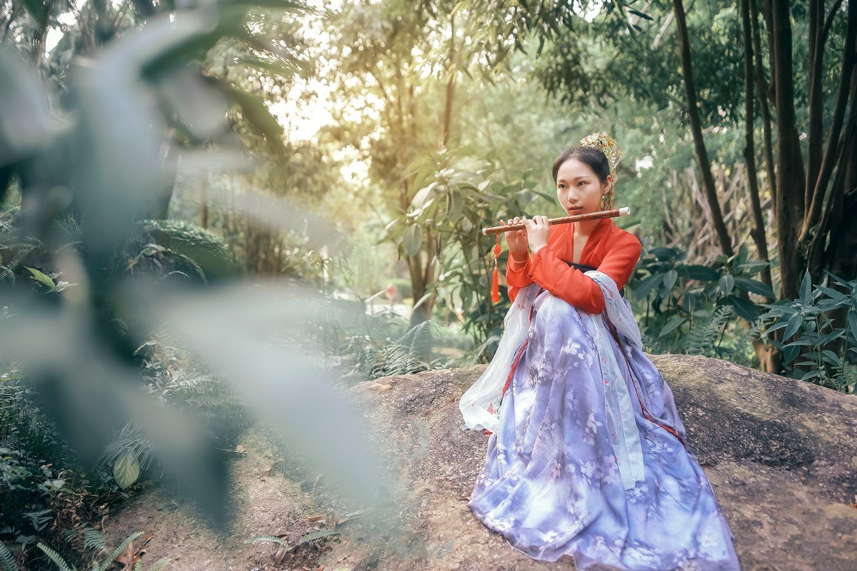 青丝芳华