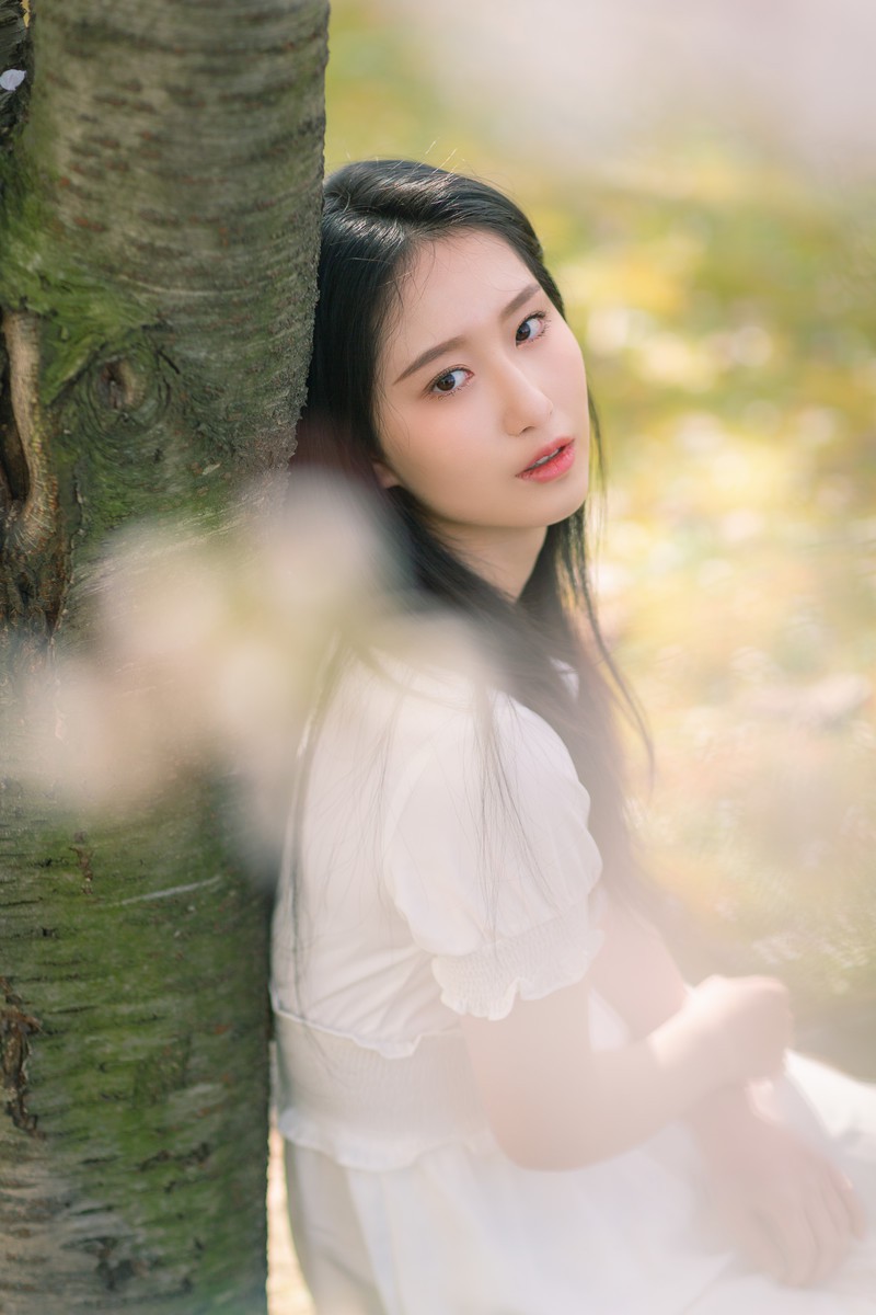 李泱—落樱缤纷