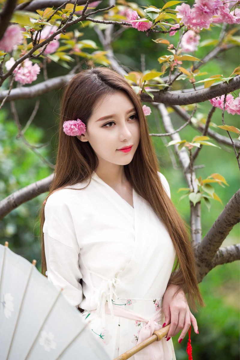 晚樱少女