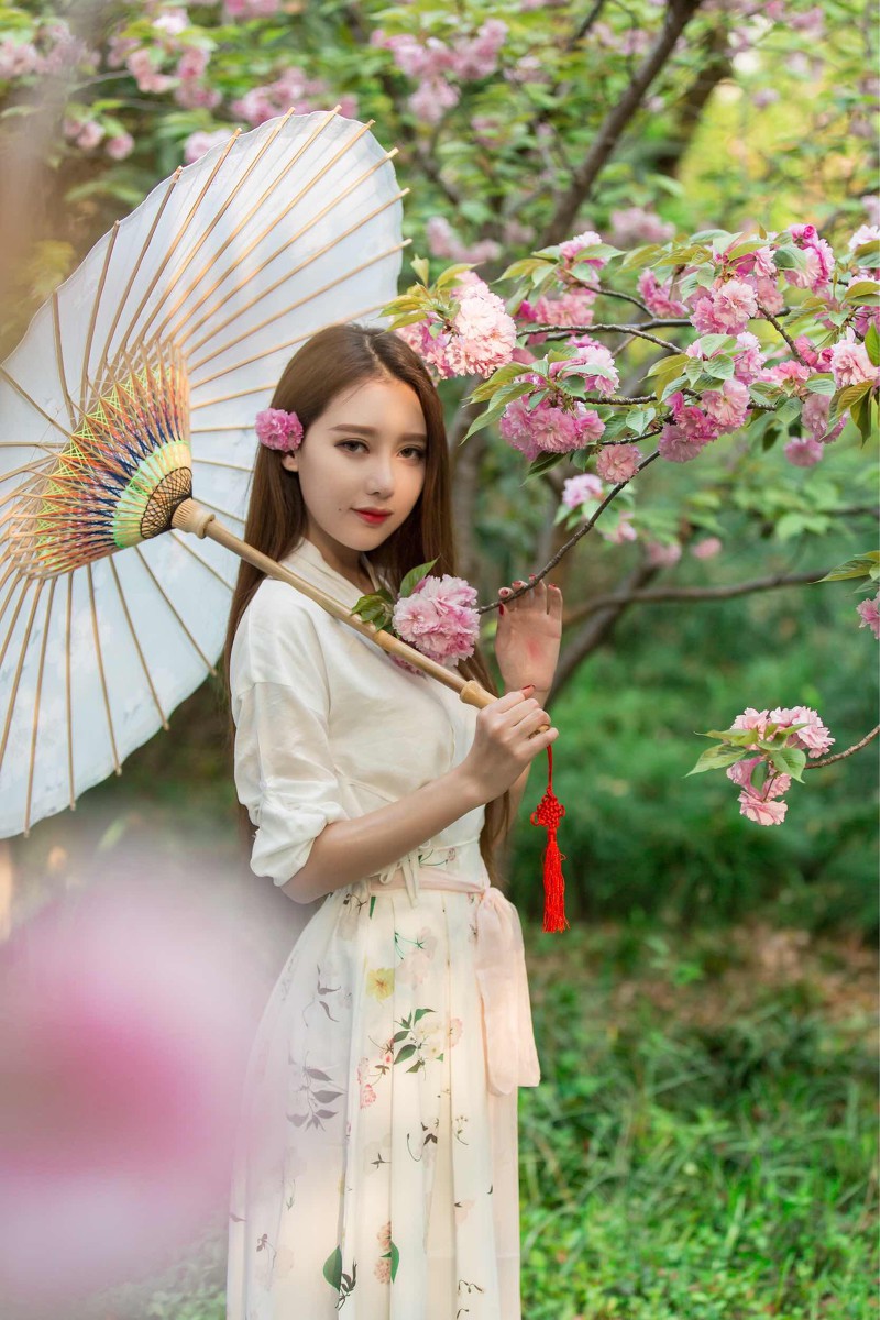 晚樱少女