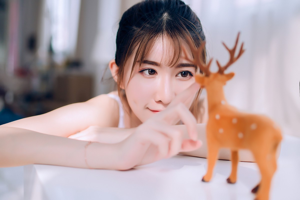 赖宝—美丽的赖宝
