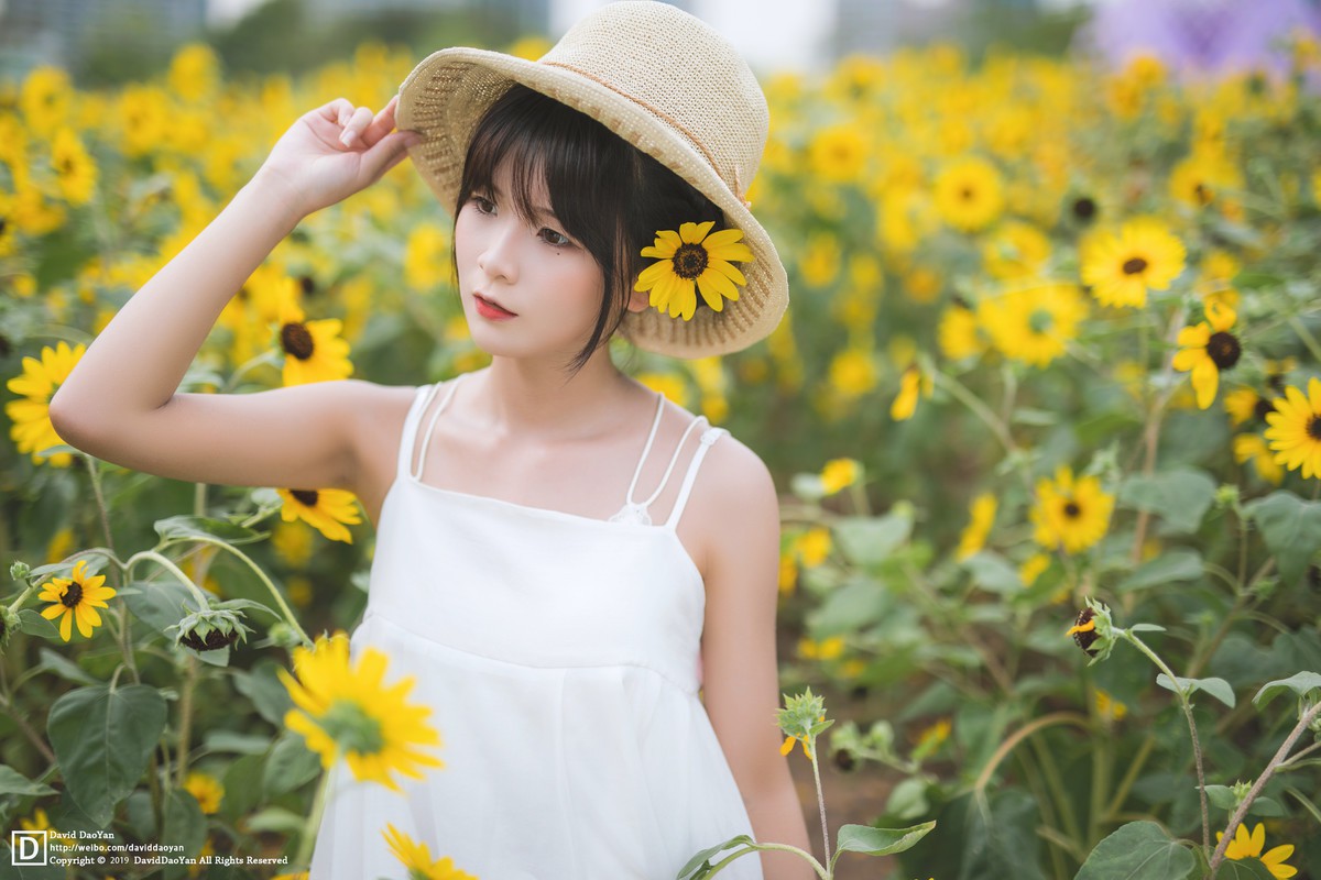 优子—夏天的向日葵
