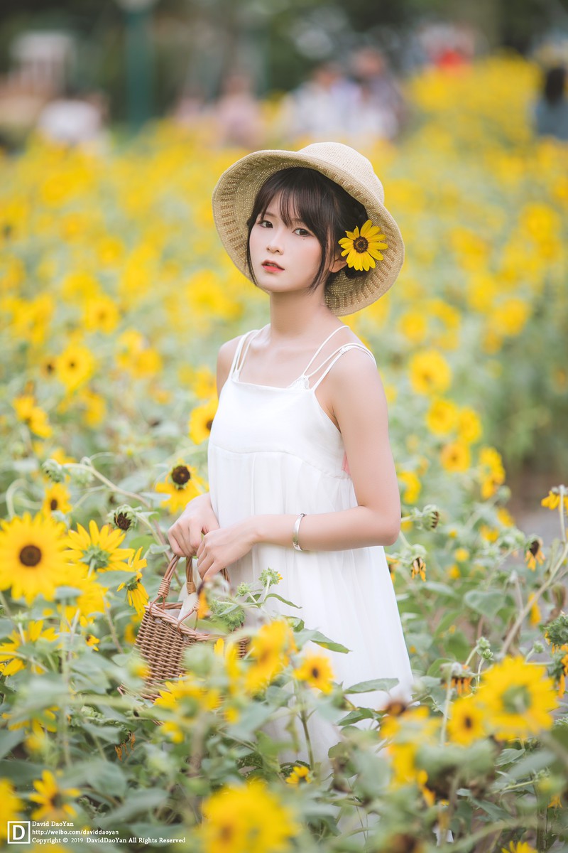 优子—夏天的向日葵