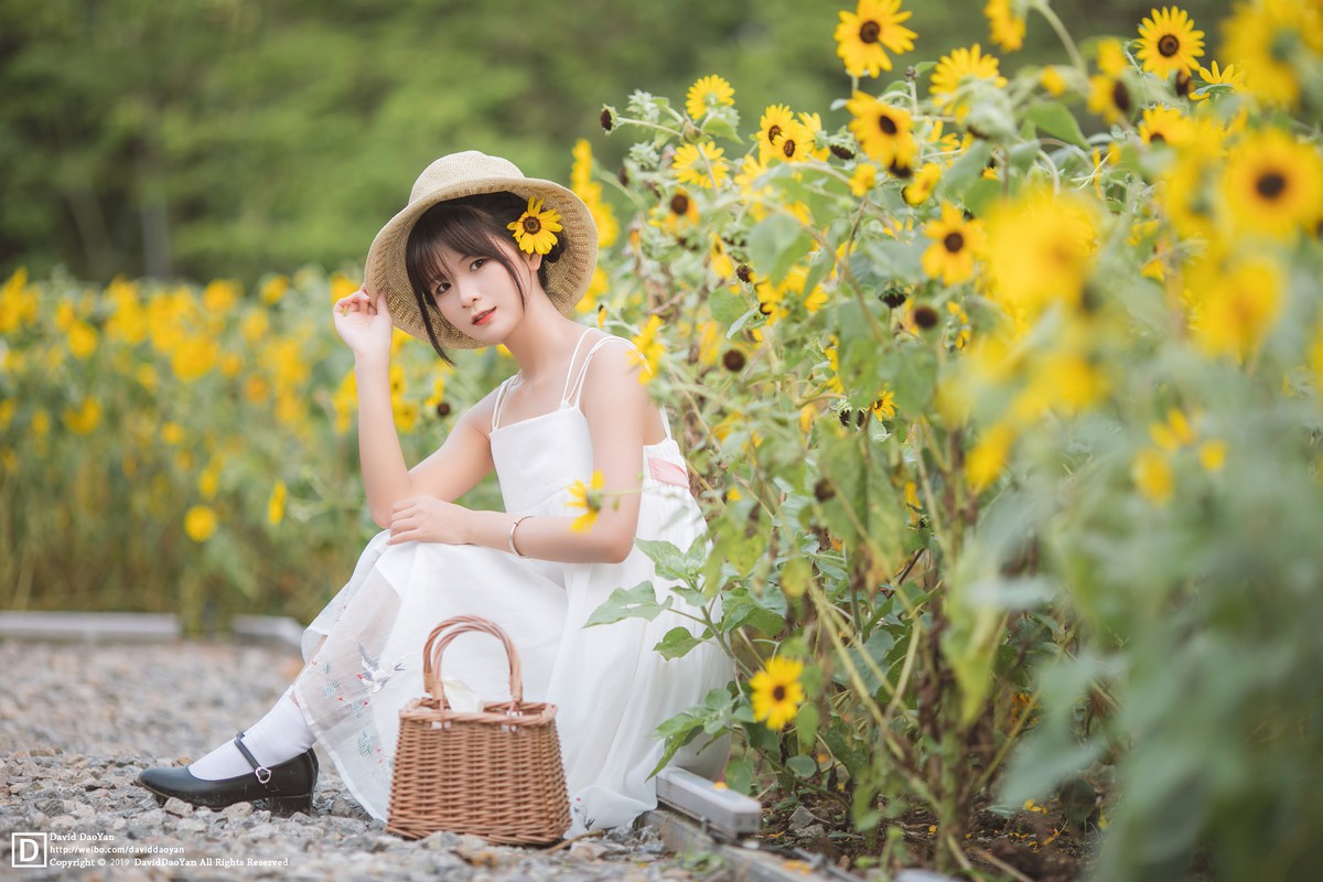 优子—夏天的向日葵