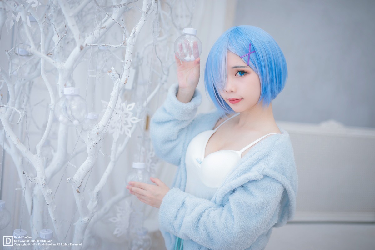 企鹅—蕾姆