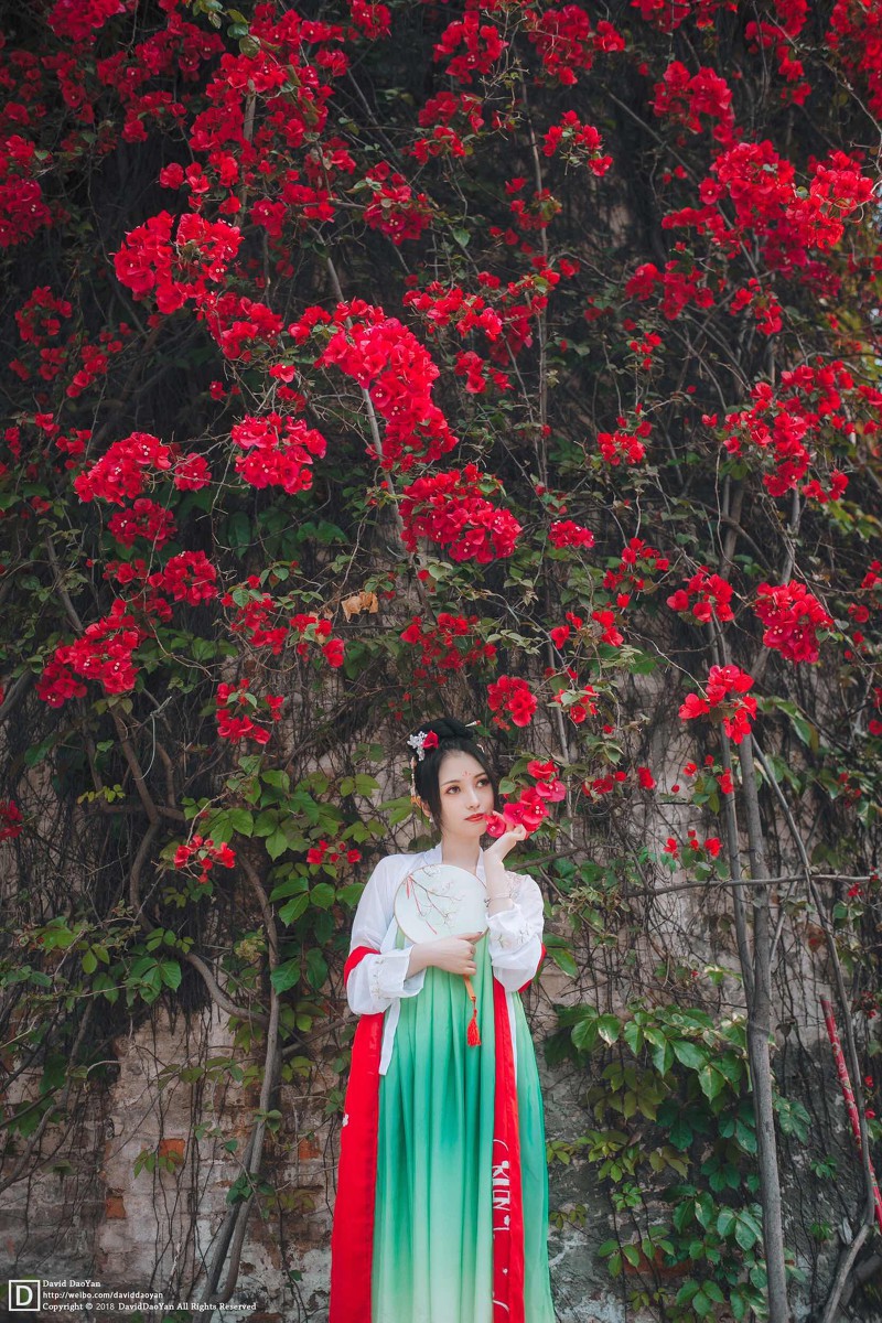 丙子—赏花赏美人