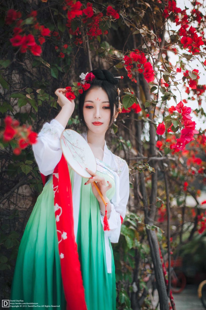 丙子—赏花赏美人