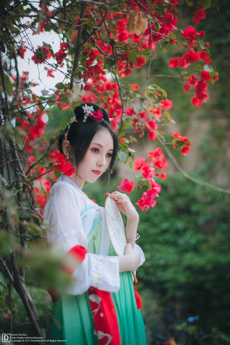 丙子—赏花赏美人