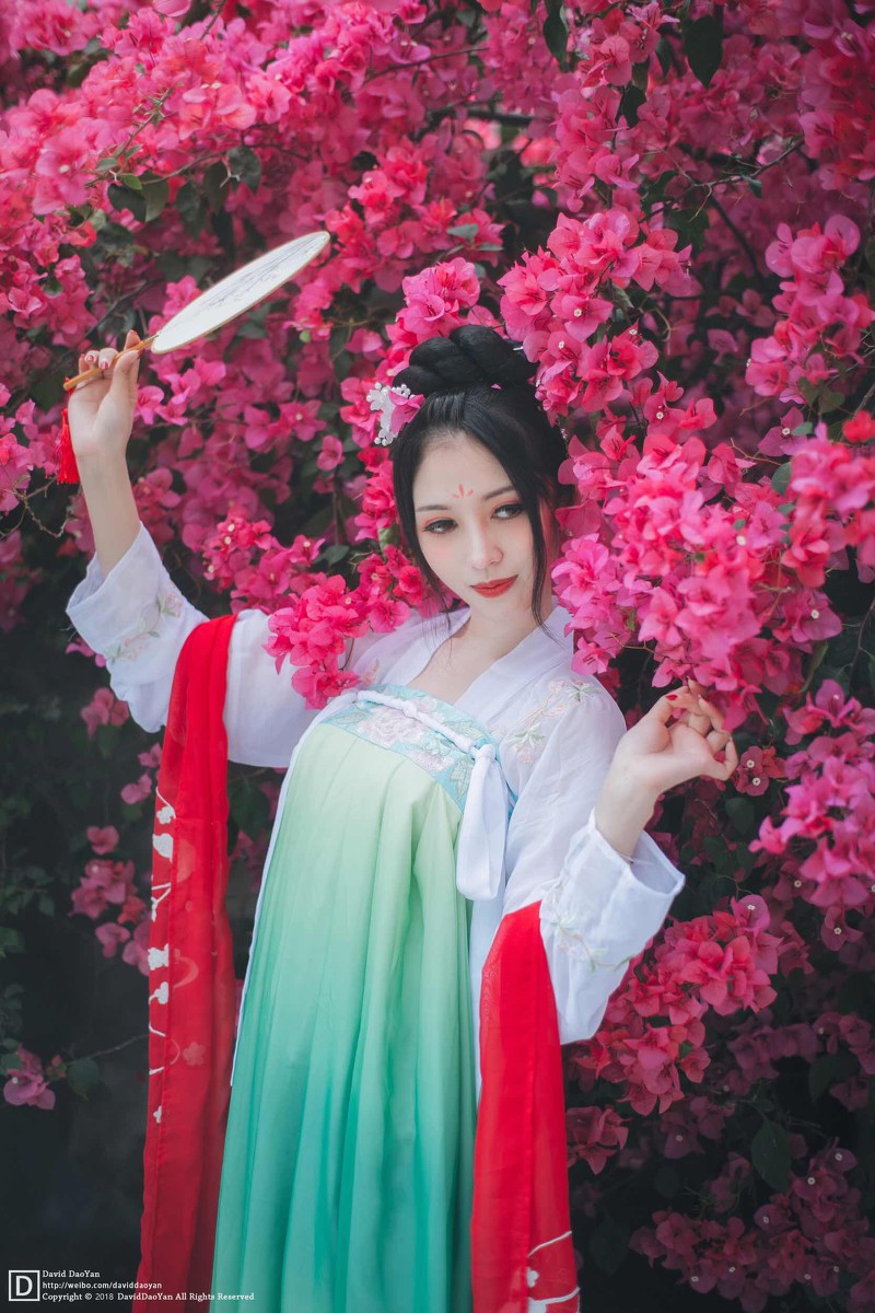 丙子—赏花赏美人