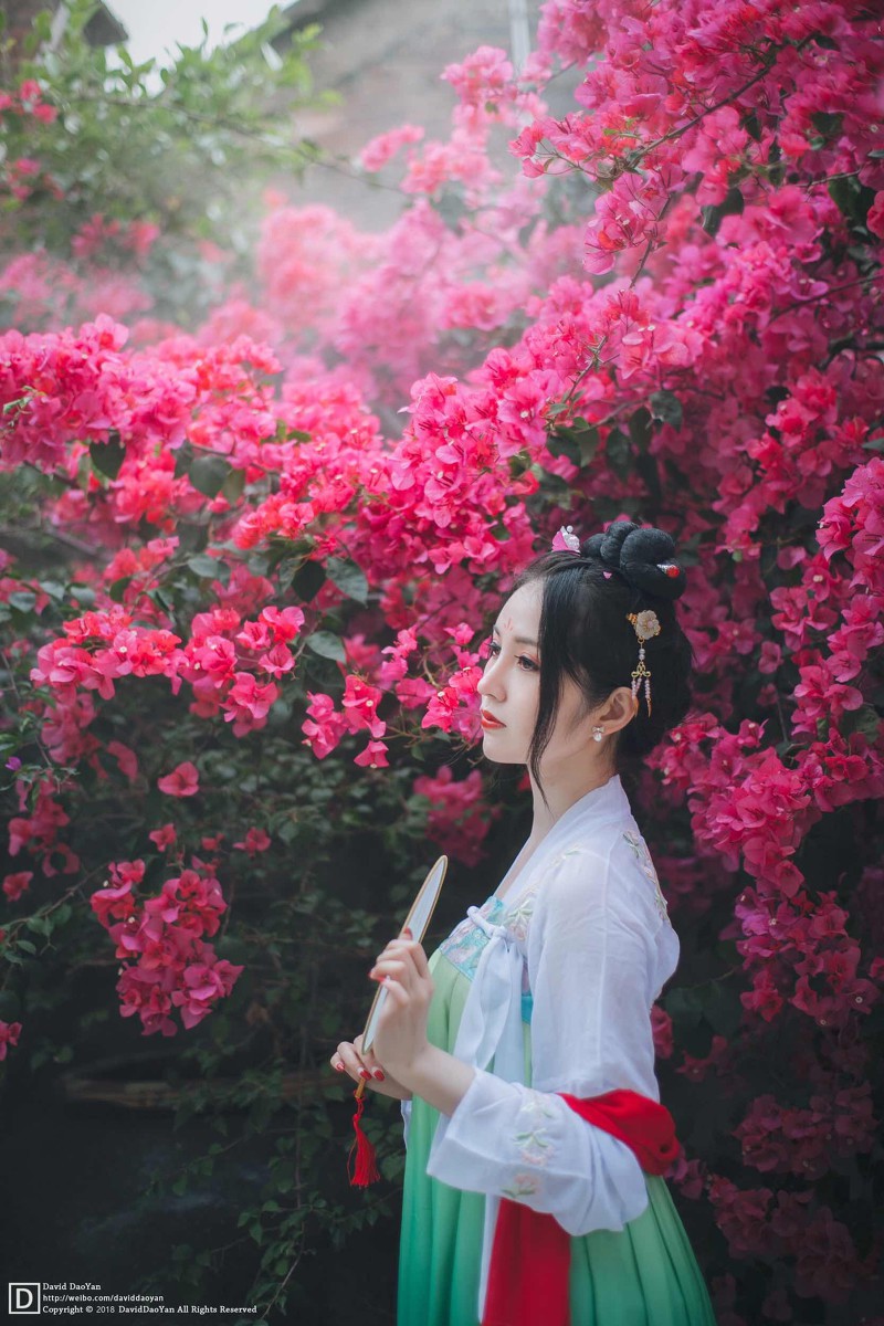 丙子—赏花赏美人