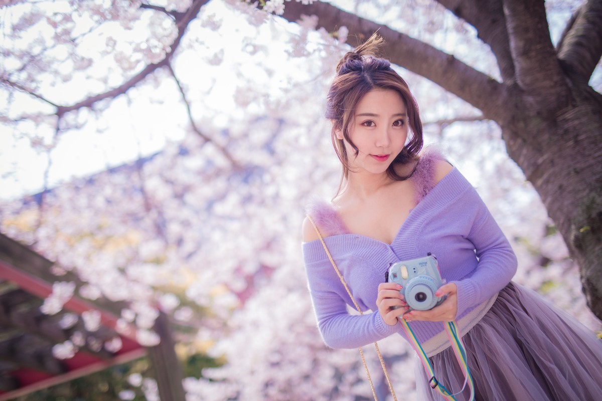 黑川—樱花