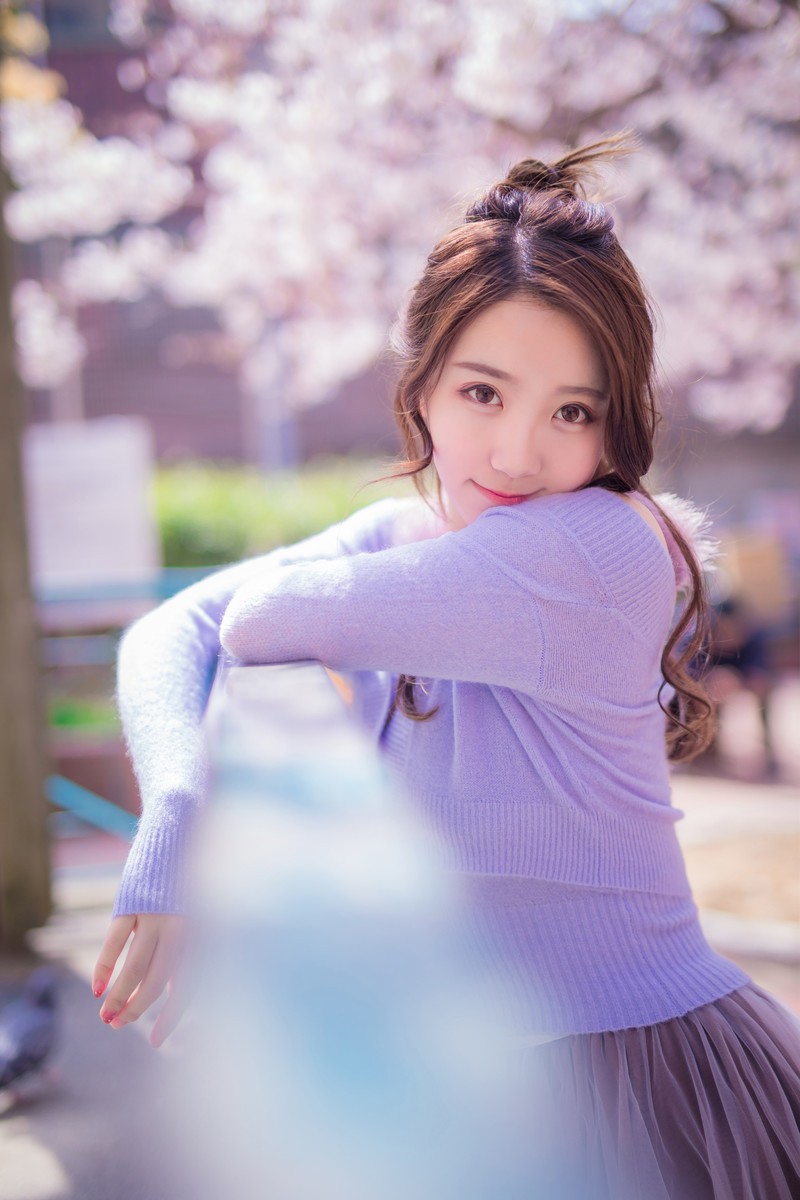 黑川—樱花