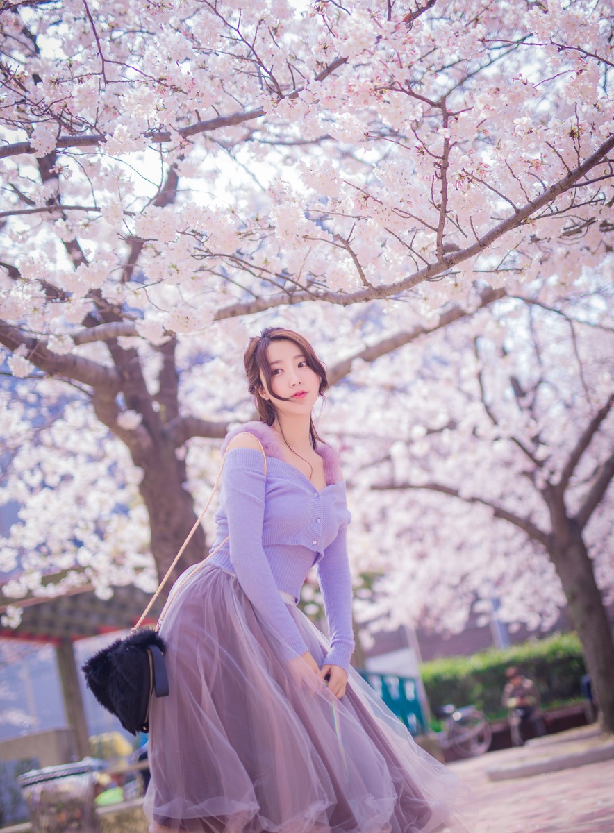 黑川—樱花