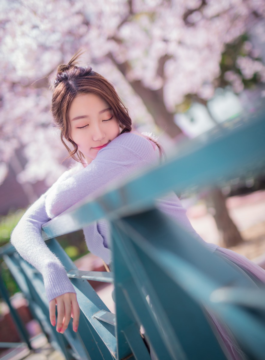 黑川—樱花
