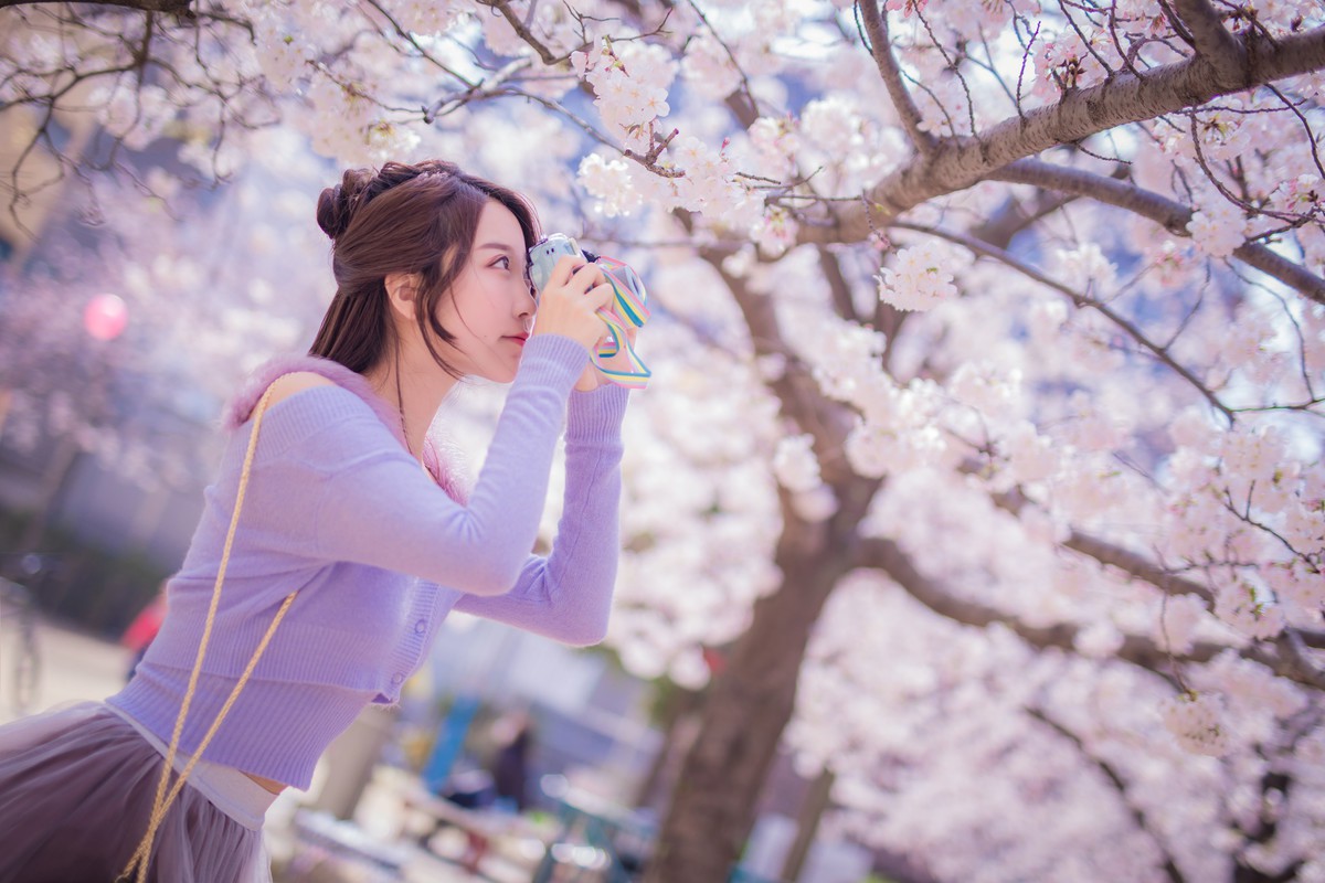 黑川—樱花