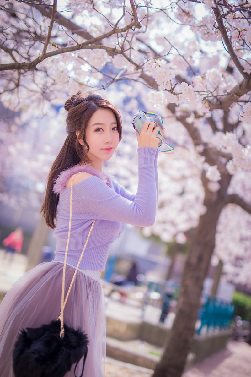 黑川—樱花