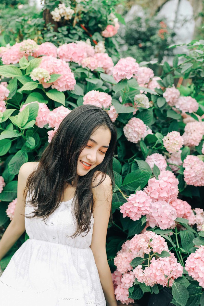 花事