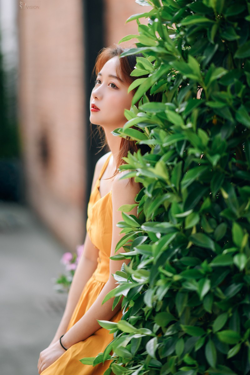 尽管如流往事