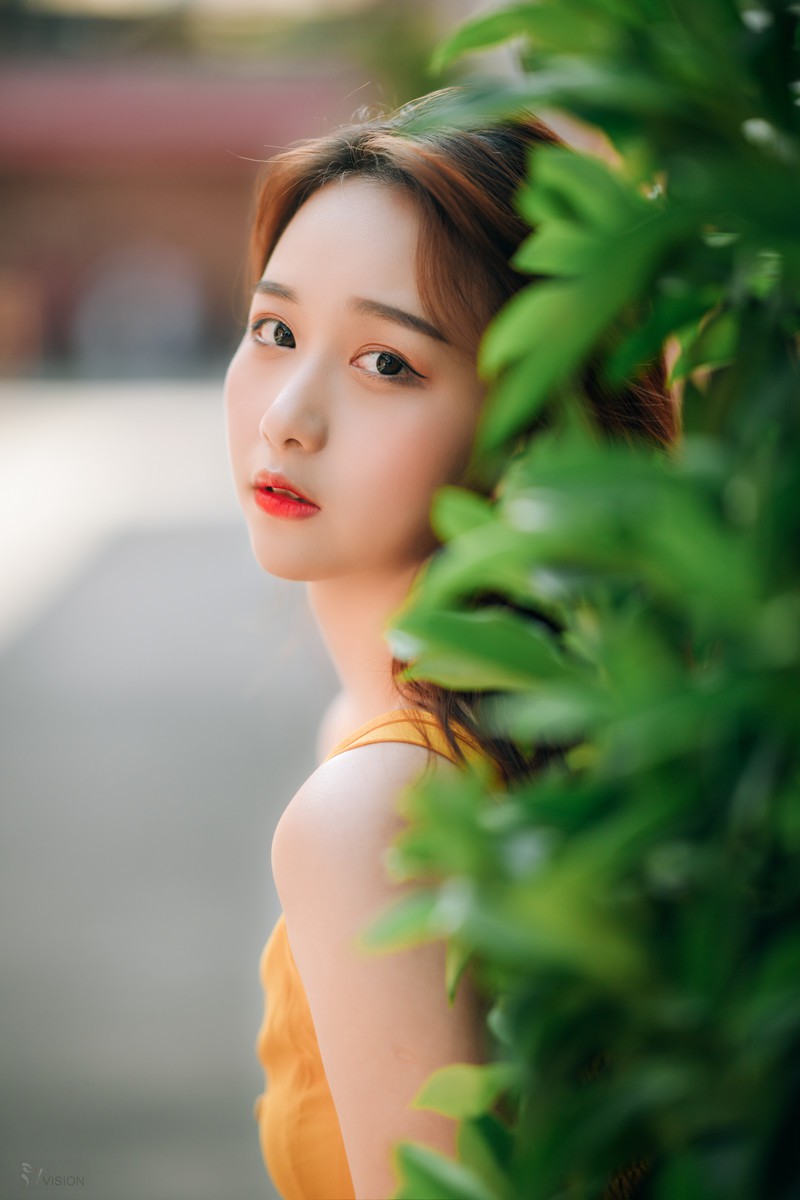 尽管如流往事