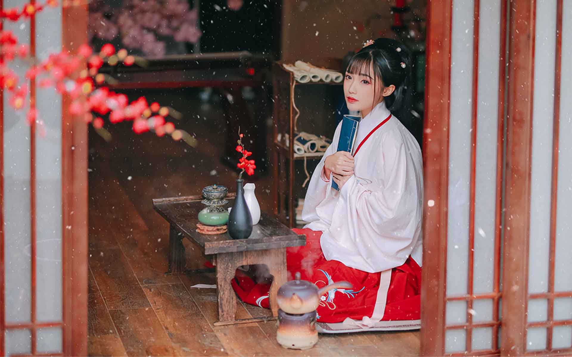 古装美女雪中意境