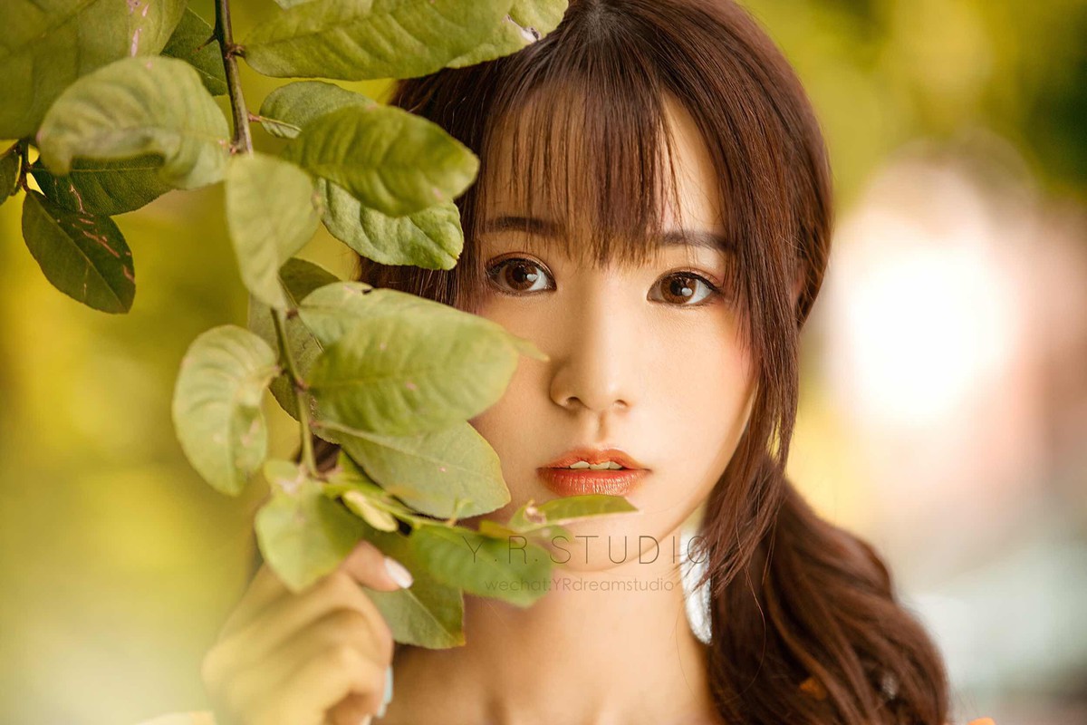 夏天里的风