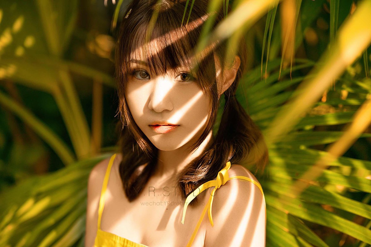 夏天里的风