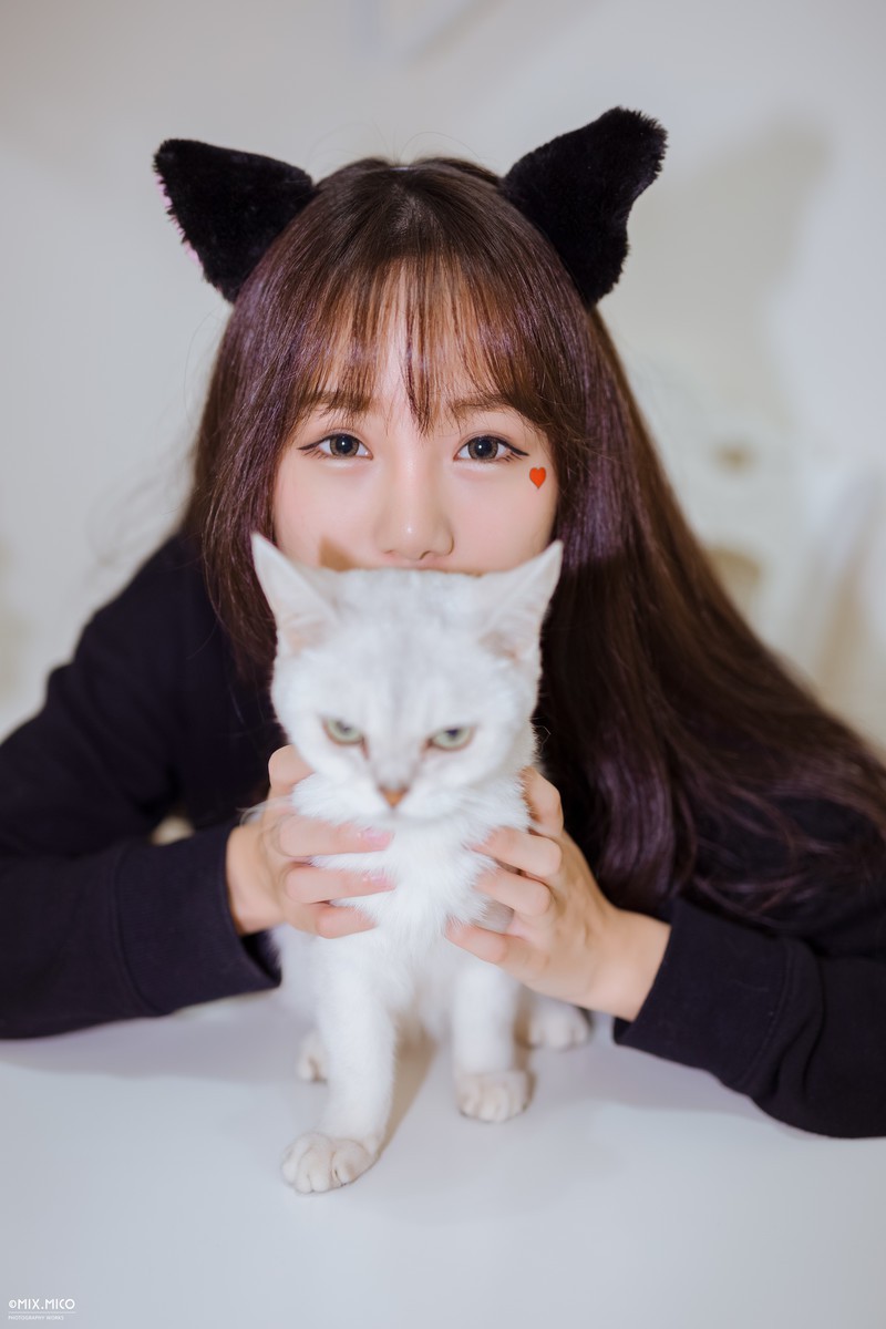 Cherry—Cat