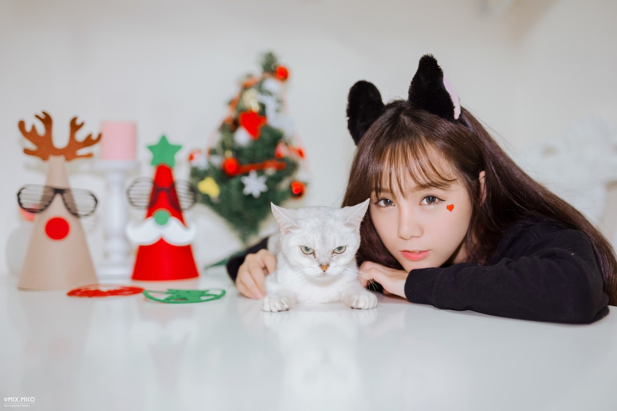 Cherry—Cat