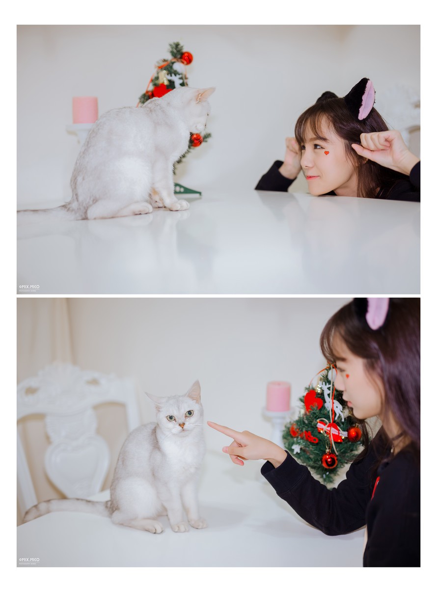 Cherry—Cat