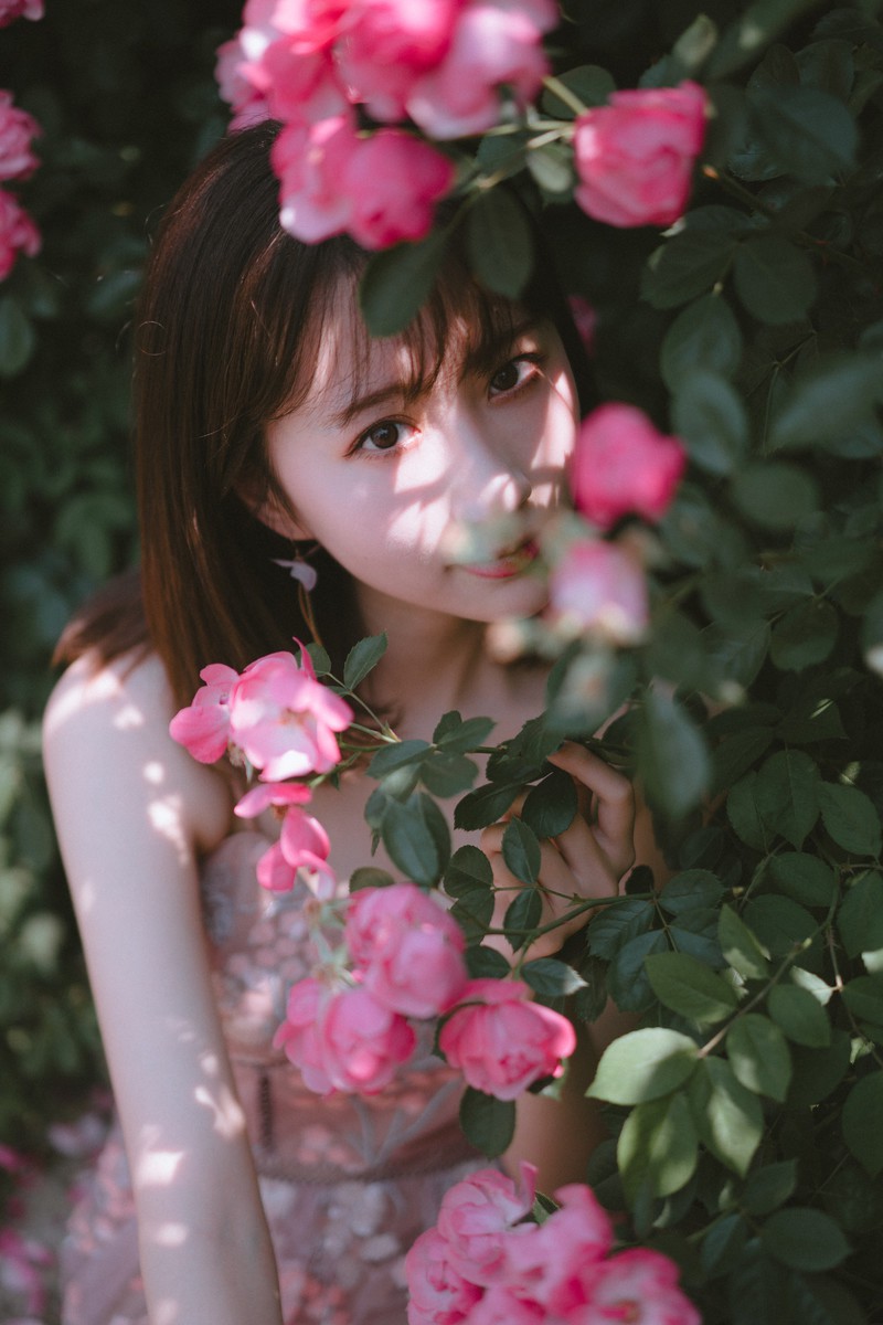 森森—手心蔷薇